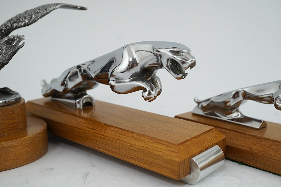 Four car mascots including; a 1920s Alvis eagle mascot designed by Charles Paillet, a Mercedes-Benz mascot, and two Jaguar mascots of different sizes, all mounted on oak bases. Condition - fair to good